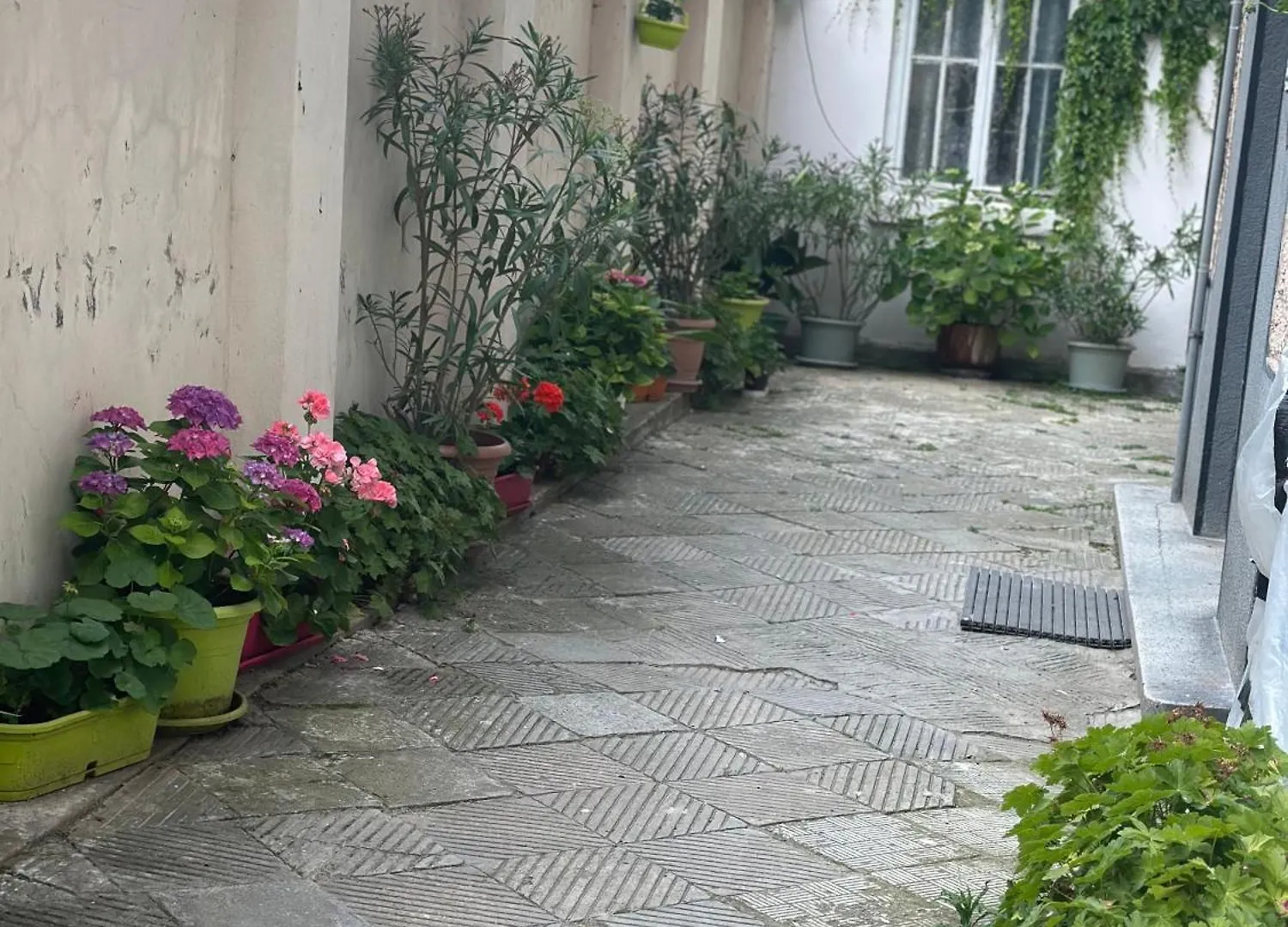 Nataly New Luxury Apartment On Black Sea Varna 0*,